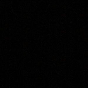 Meet your Posher, Allie